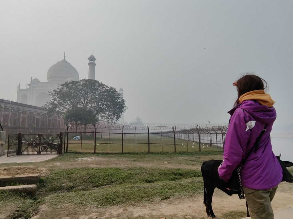 taj mahal in front Yamuna river